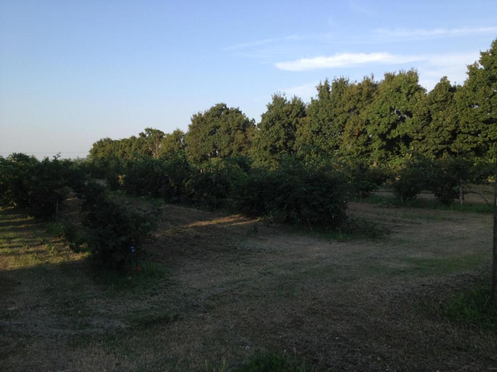 Societa Agricola Le More Agriturismo La Dondina บูดริโอ ภายนอก รูปภาพ