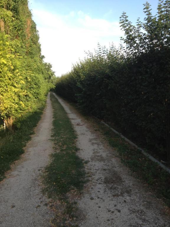 Societa Agricola Le More Agriturismo La Dondina บูดริโอ ภายนอก รูปภาพ