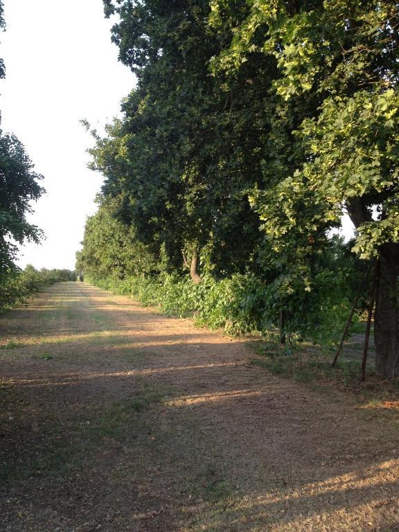 Societa Agricola Le More Agriturismo La Dondina บูดริโอ ภายนอก รูปภาพ