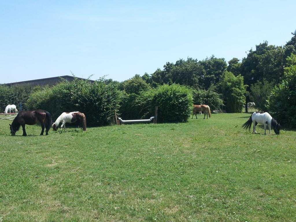 Societa Agricola Le More Agriturismo La Dondina บูดริโอ ภายนอก รูปภาพ